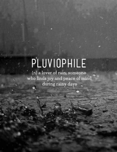Petrichor And Pluviophiles Why The Smell Of Rain Is So Seductive The