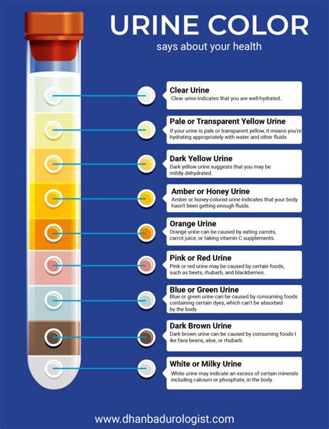 Urine What Color And Smell Say About Your Health