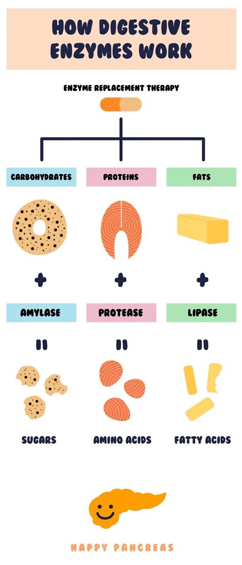 Pin By Carey Walker On Infographic Health Infographic Health Enzymes