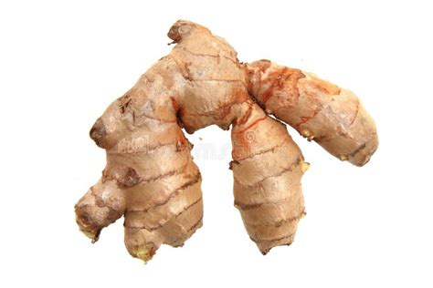 Fresh Ginger Root Isolated Stock Photo Image Of Healthy 50429130