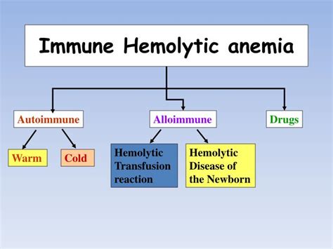 Ppt Acquired Hemolytic Anemias Powerpoint Presentation Id3933723