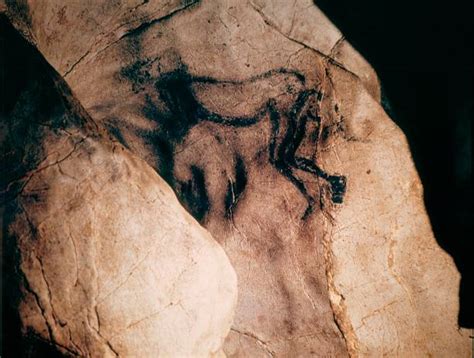 75 Years Since The Lascaux Cave Paintings Discovered Photos And Images