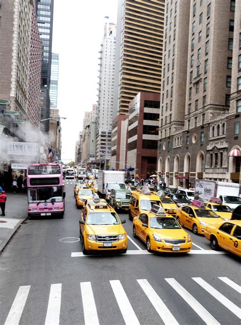 무료 이미지 보행자 도로 거리 시티 뉴욕 도시 풍경 도심 수송 차량 노랑 레인 대중 교통 노란 택시