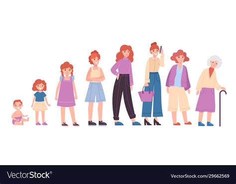 Ageing Process A Woman Royalty Free Vector Image