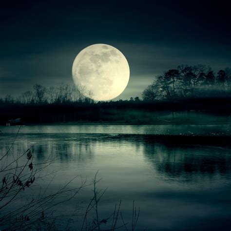 2048x2048 Full Moon Night Near Lake Ipad Air Wallpaper Hd Nature 4k