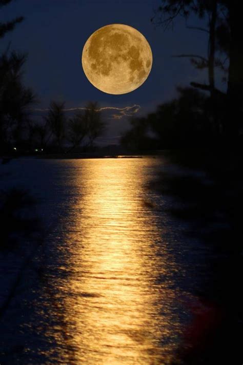 Resultado De Imagen Para Fotos De Lunas Llenas Hermosas Luna En 2019