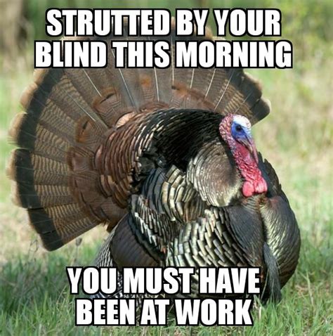 Typically How It Works Hunting Memes Turkey Hunting Hunting Humor