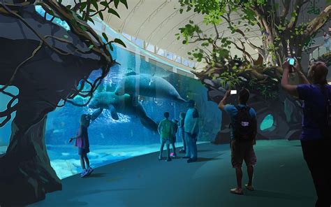 Clearwater Marine Aquarium Plans To Turn Winters Old Habitat Into New