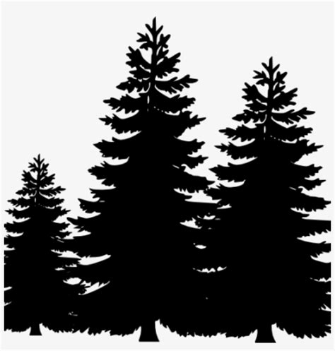 Pine Tree Clipart Png Best Free Library