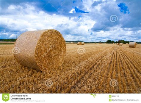 A Large Hay Bale After The Harvest Stock Image Image Of Landscape
