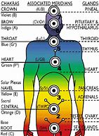 Image result for the position of the seven main energy centres of the etheric body