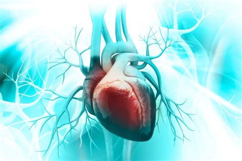 Experts Develop New Genetic Risk Score For Heart Disease In South Asia