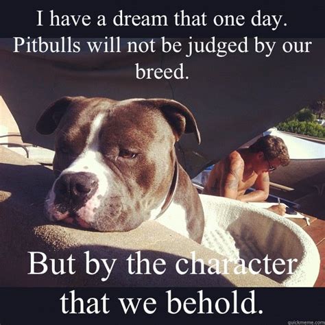 Pittbull Meme Neglected Pitbull Memes Quickmeme Pitbulls Pitbull