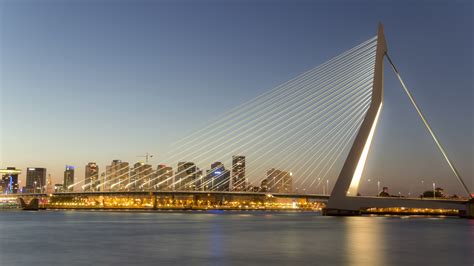 The Erasmus Bridge In Rotterdam Netherlands With The City Lights In