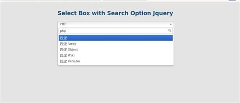 How To Create The Dropdown Search Box Using Html Css And Jquery Css