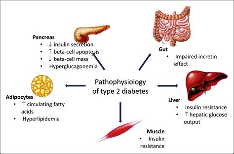 The Early Treatment Of Type 2 Diabetes The American Journal Of Medicine