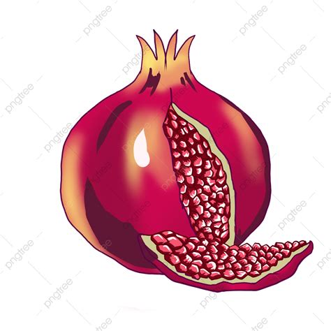 Pomegranate Flesh Clipart Png Vector Psd And Clipart With