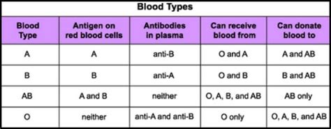 Antigen Antibody Well Explained Laboratory Insider