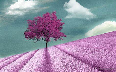 68 Purple Tree Wallpaper