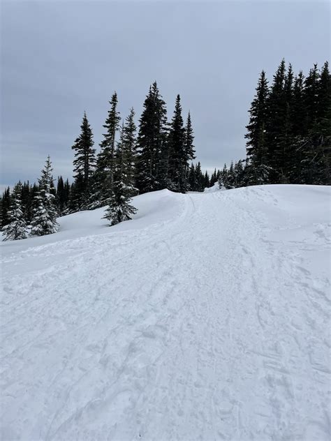 Hurricane Ridge Snowshoe — Washington Trails Association