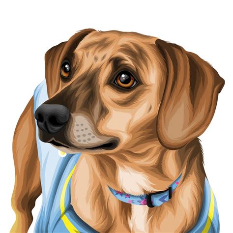 Detailed Dog Illustrations By Vector Pets Fantastic Pet Portraits