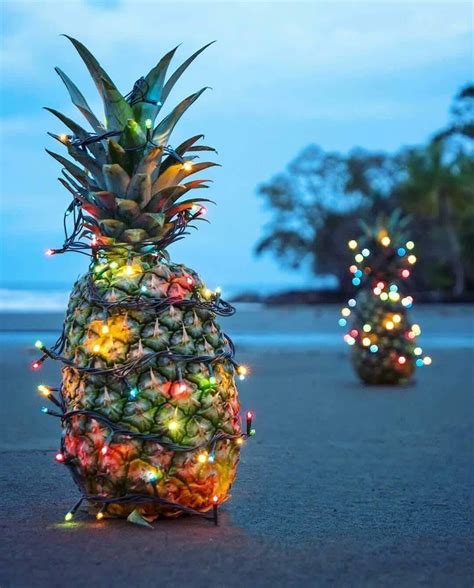 Beach christmas decorations ukfcu phone. Pin by Doo Doo on Girl | Hawaii christmas, Pineapple ...