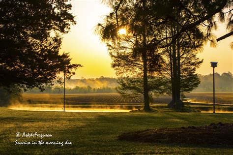 Sunrise In The Morning Dew By Askdrferguson On Youpic