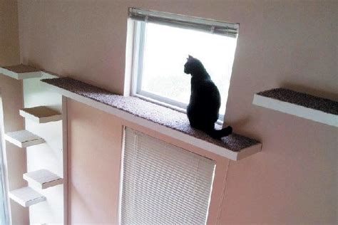 Heres How You Can Catify Your Home Windows Cat Window Diy Cat