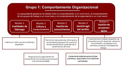 Grupo Comportamiento Organizacional DRJ en Español
