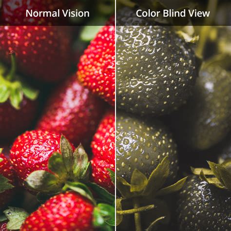 Enchroma Glasses That Help People With Color Blindness Now Offered At