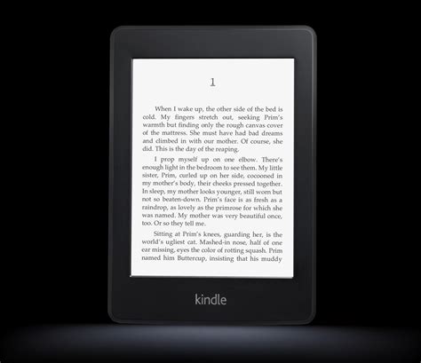 Paperwhite Is The Amazon Kindles Retina Display