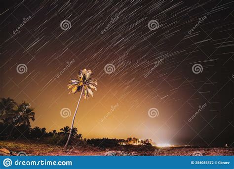 Concept Of Tropical Island 5k Night Starry Sky Over Tropical Beach