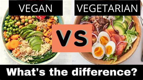 Difference Between Vegan Diet And Vegetarian Diet Plant Based Diet Vs