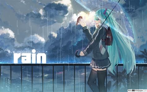 Hatsune Miku In The Rain 2k Wallpaper Download