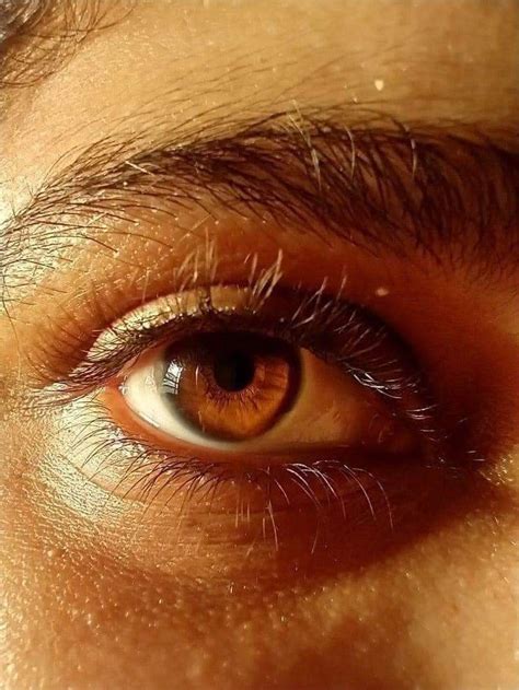 pin by on art 6 portrait photography in 2022 brown eyes aesthetic pretty eyes eye art