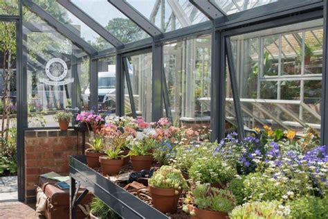 Why Do Plants Grow Better In A Greenhouse By Jean Vernon