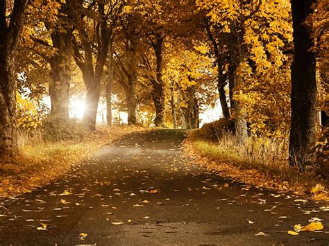 🔥 Download Beautiful Autumn Wallpaper Sf By Kristapearson Beautiful