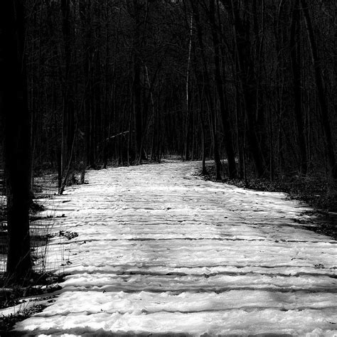Winding Snow Path Paths Snow Explore Photography Photograph