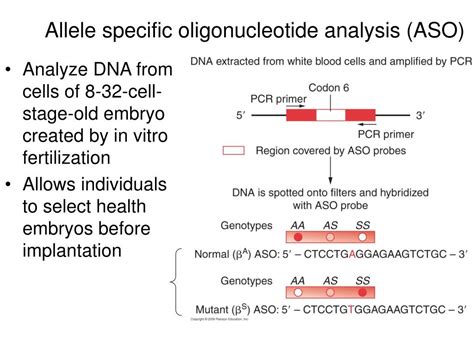 An oligonucleotide designed to be specific for only one allele of a gene. PPT - Medical Biotechnology PowerPoint Presentation, free ...