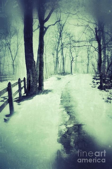 Snowy Wooded Path Photograph By Jill Battaglia Fine Art America