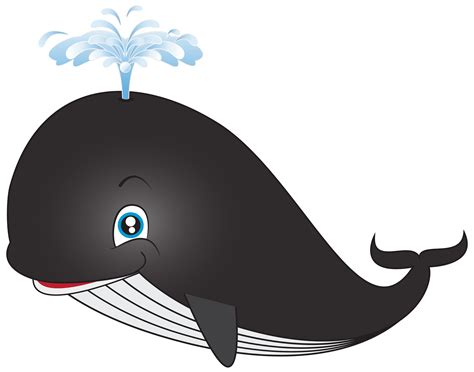 Whale Clipart Important Wallpapers