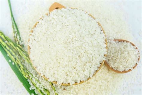 Gạo Japonica Việt Nam