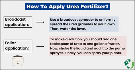 Pros And Cons Of Urea Fertilizer How To Apply Urea Fertilizer In 2023