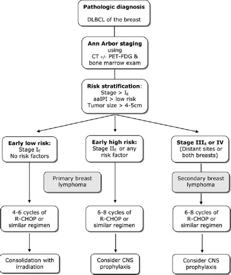 Suggested Algorithm For Newly Diagnosed Pb Dlbcl Download Scientific