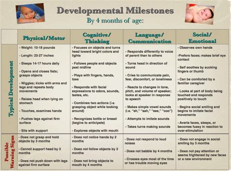 3 months developmental milestones | baby developmental milestones. The Two's Don't Have to be Terrible: Developmental Milestones