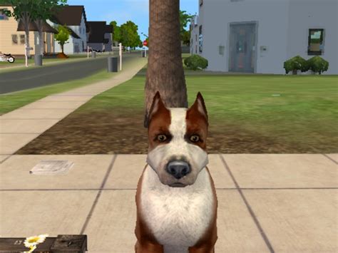 Mod The Sims American Pitbull Terrier Improved