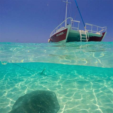 watch where you step ☀️⛵️🏊🏽🐠🦀 sting ray city in grand cayman caribbean destinations shore