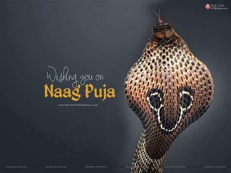 Check spelling or type a new query. Nag Panchami - JungleKey.in Image