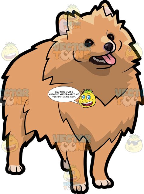 Pomeranian Cartoon Images Download The Perfect Cartoon Pictures