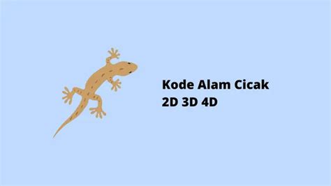 cicak 2d